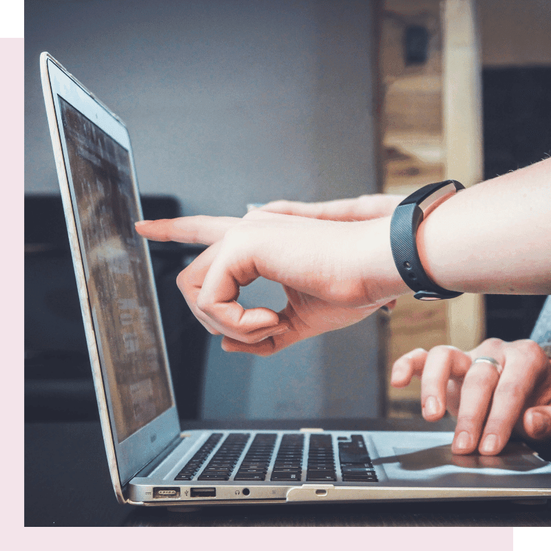 wordpress cursus zeist