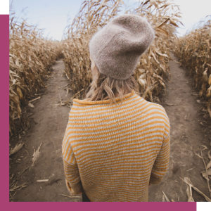 online leeromgeving LearnDash